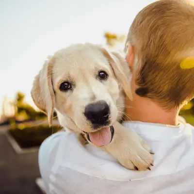 Acheter un chien : à quoi faut-il faire attention ?