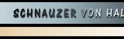 Rüde aus T-Wurf