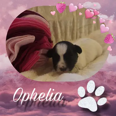 Ophelia