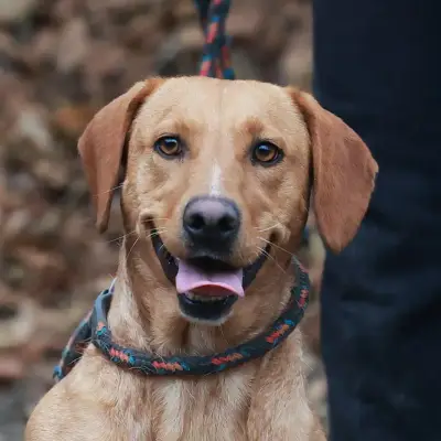Murphy