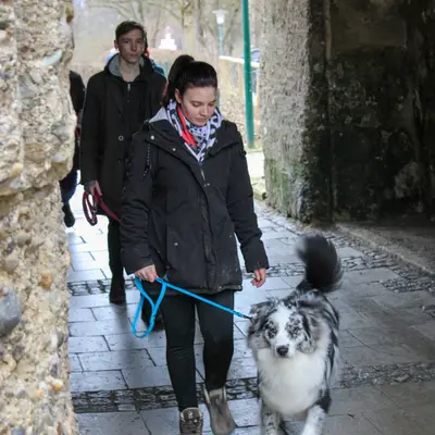 Of The Pearl Family – Australian Shepherd Züchter, Oberösterreich