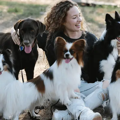 Quel chien me convient : conseils d'experts pour choisir un chien