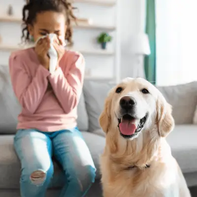 Hondengeluk ondanks allergieën? Bestaat er een hond voor mensen met een allergie?