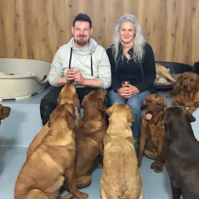Labrador vom Deiseler Berge cover