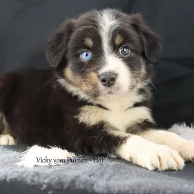 Vicky