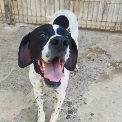 Alicia - aktuell in Spanien