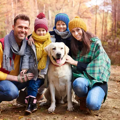 Chiens de famille : 3 types de chiens à éviter