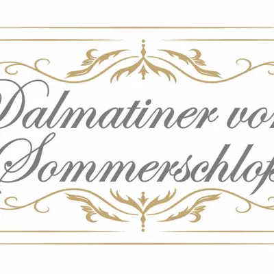 Dalmatiner vom Sommerschloß cover
