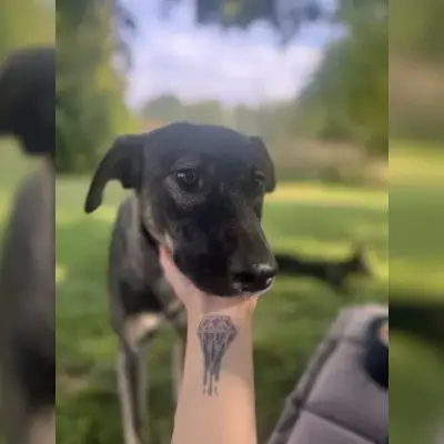 Moritz