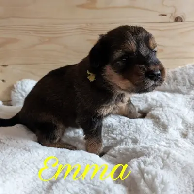Emma