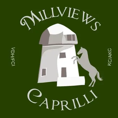 Millviews, Hobbyzucht im VDH cover