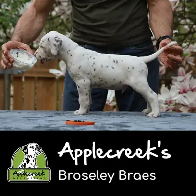 Applecreek’s Broseley Braes