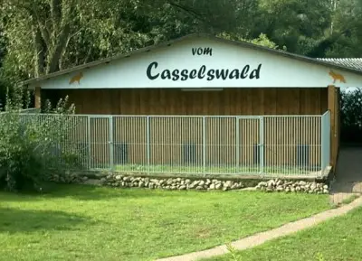 Zuchtstätte „vom Casselswald“ cover
