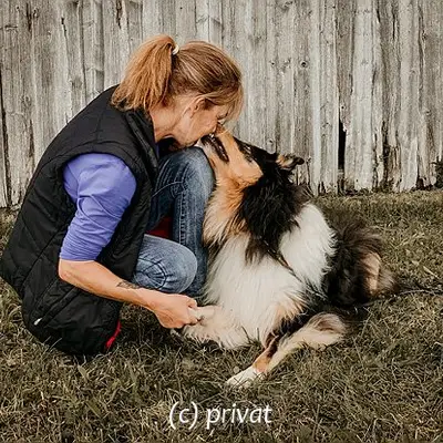 Collies vom Kath'lberg cover