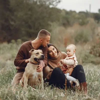 Intégrez avec succès votre nouveau chien dans votre foyer et votre famille