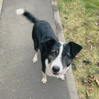 Molly