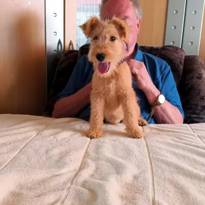 Chester vom Amur