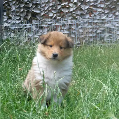 Erik