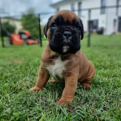 E.T.