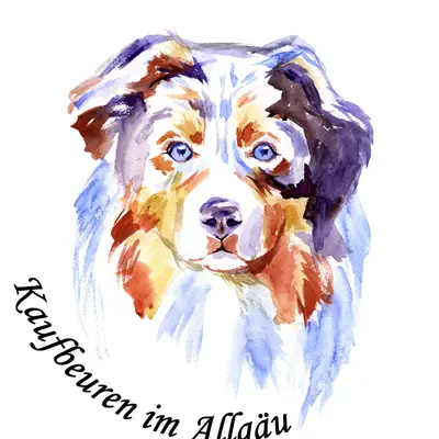 Regenbogen Aussies cover