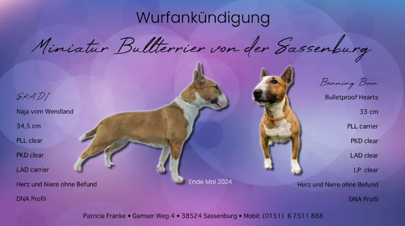 Vergangene Würfe