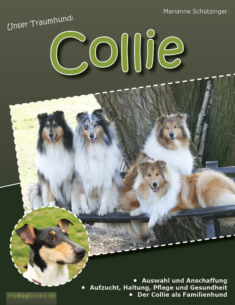 Forever mind Collies im Herzen Bayerns main gallery image