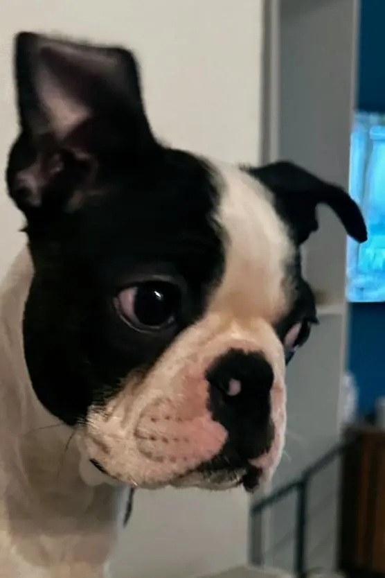 Charlie
