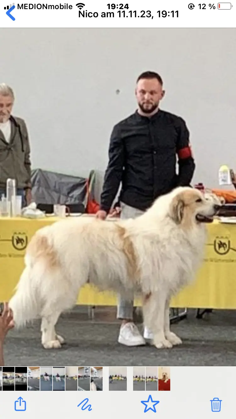 Du Pic de Viscos 