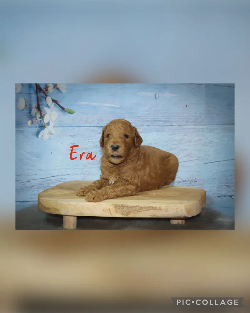 Era