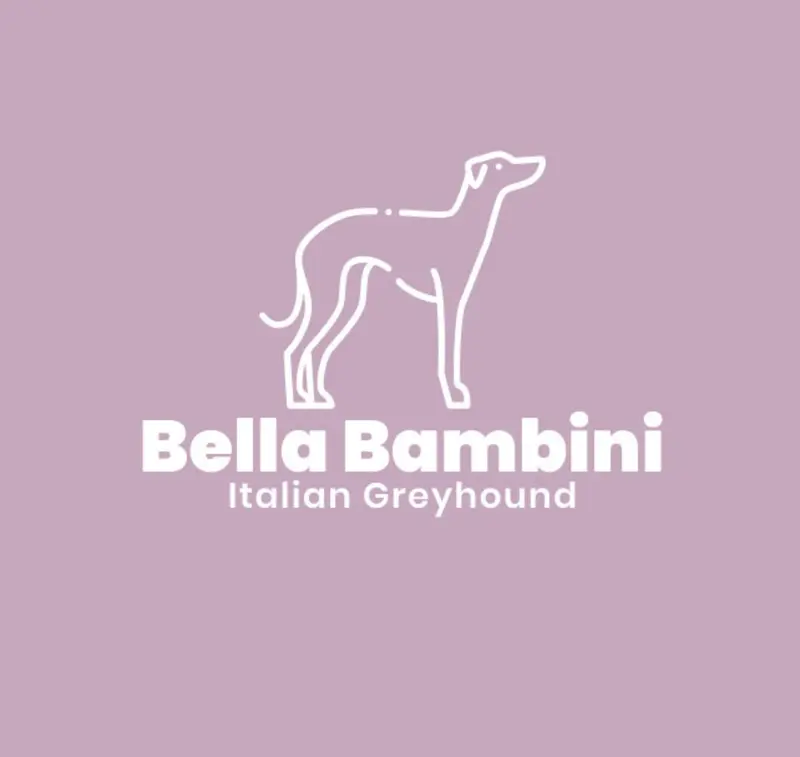 Bella Bambini main gallery image