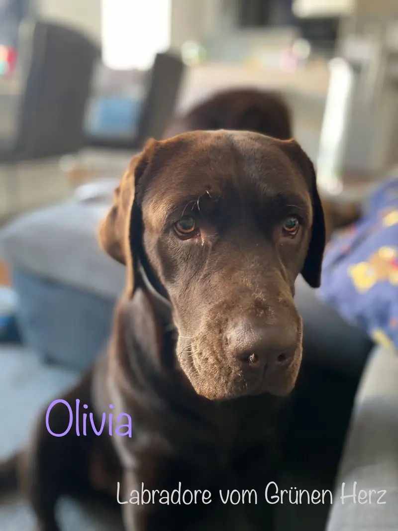 Olivia von den Ohmenbergen