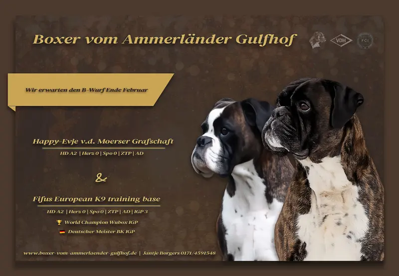 Fifus European k9 training base