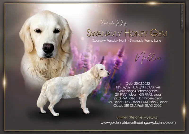 Swanavly Honey Gem