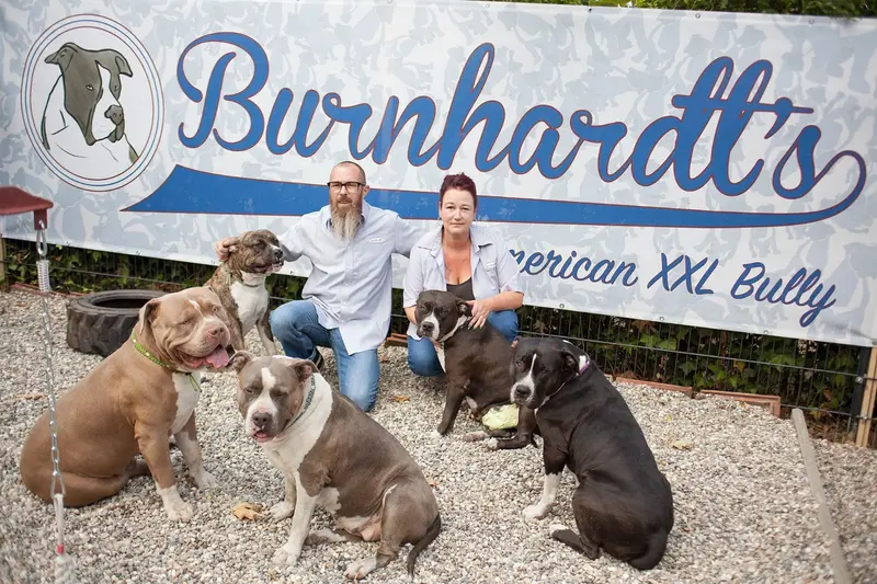 Burnhardt's American XXL Bully main gallery image