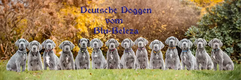 Basilia vom Blu-Beleza