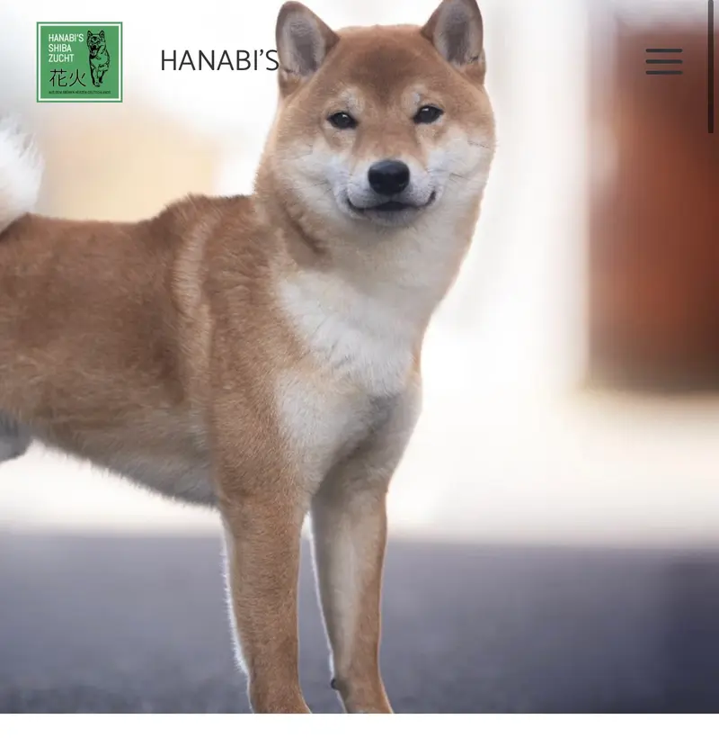 Hanabi´s Baki der bärenstarke Ben