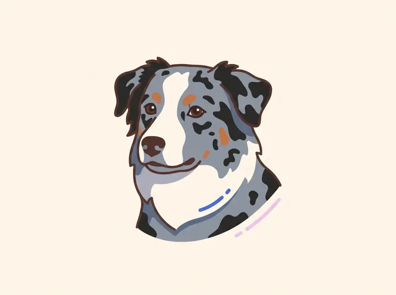 Blue-Merle Australian Shepherd im Dreiviertelprofil mit grau-blauem, schwarz marmoriertem Fell, weißer Blesse, kupferfarbenen Abzeichen und zwei normal großen dunklen Augen