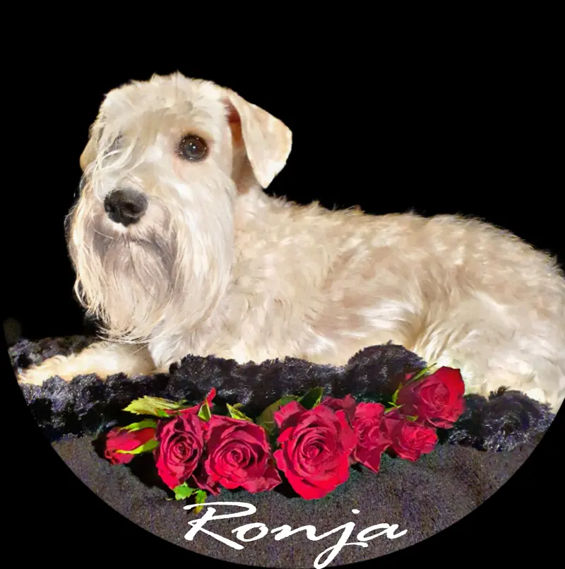 Ronja vom Müllerhof 