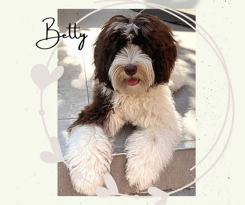 Betty