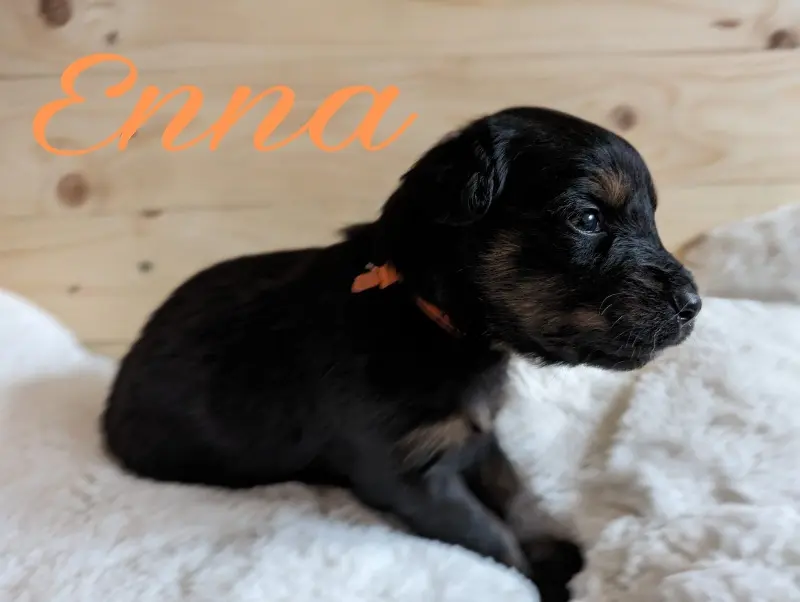 Enna