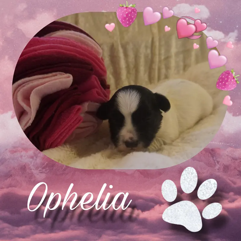 Ophelia
