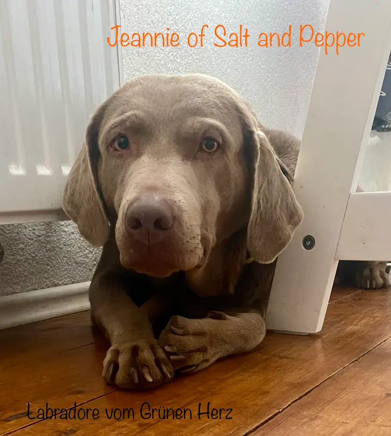 Jeannie of Salt and Pepper Name