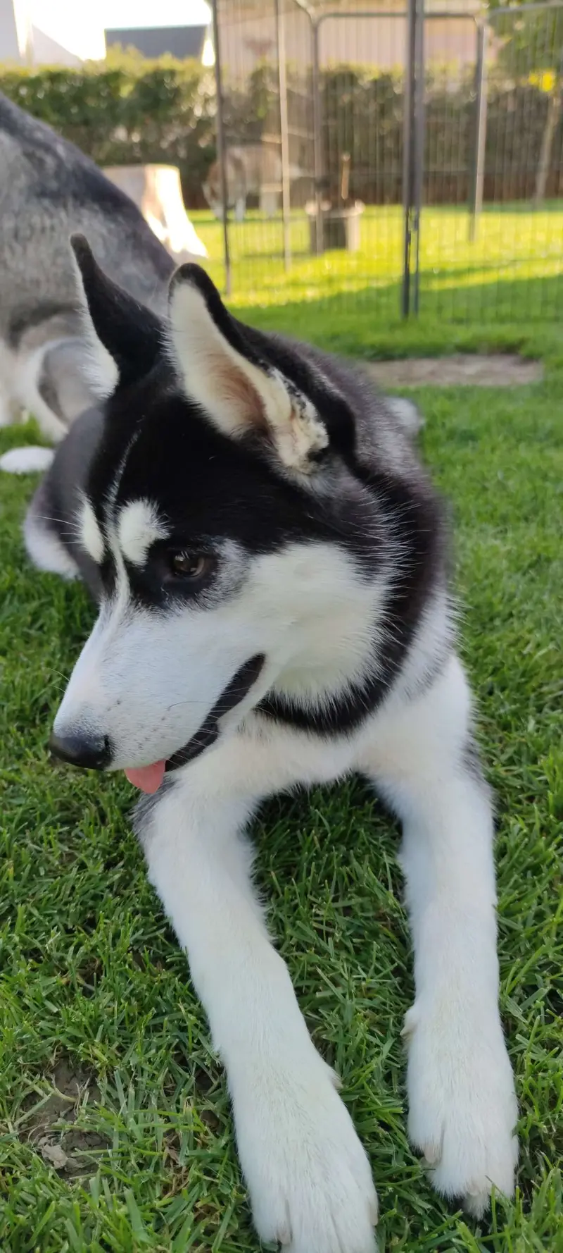 Freya