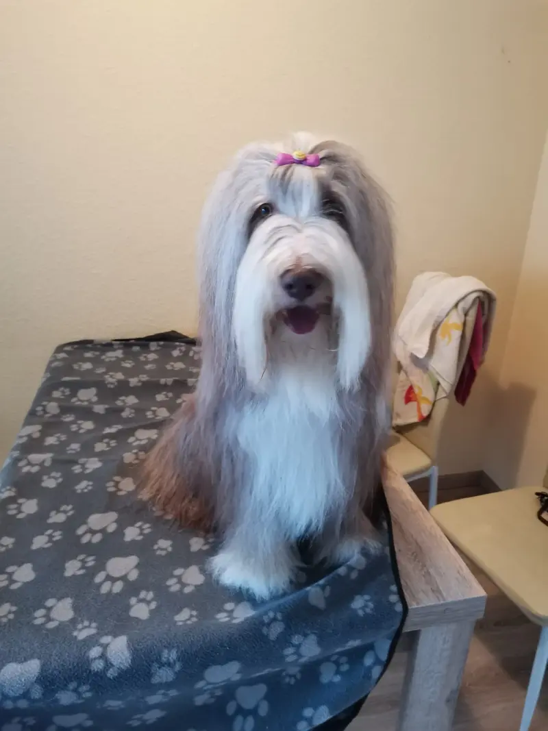 Heart Diamond Luna