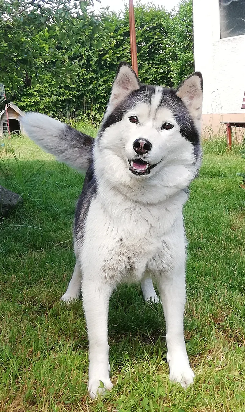 Holly 