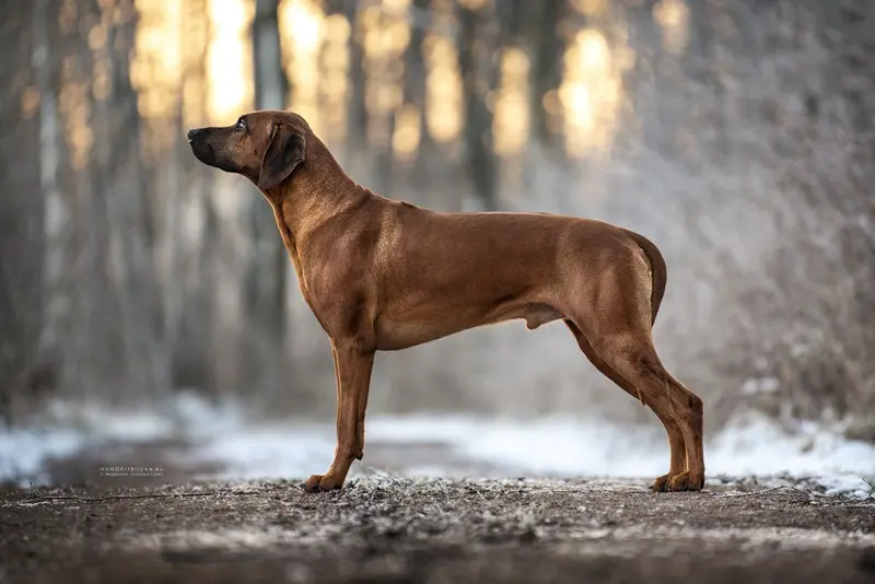 Wakati Mzuri Q'een Rula Rusape