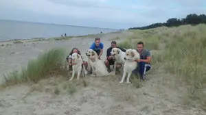 Just can´t get enough ZouZou El Mattador