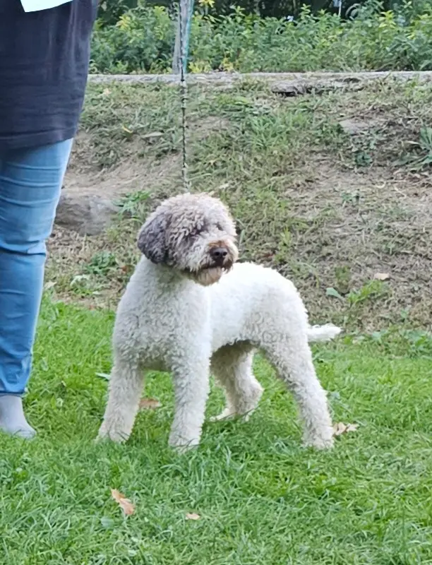 Berna