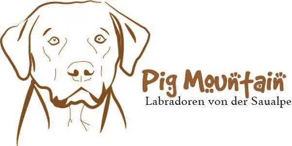 April of Pig Mountain
