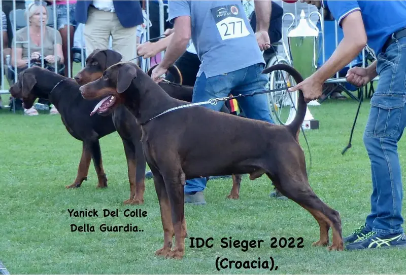 Yanick del Colle della Guardia